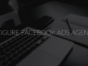 billy willson – 6 figure facebook ads agency download