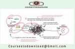 Andre Chaperon - Lean Business For Creators