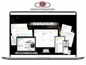 Monica Froese - The Digital Shop Experience Download